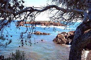 089- Entre Agay et Antheor